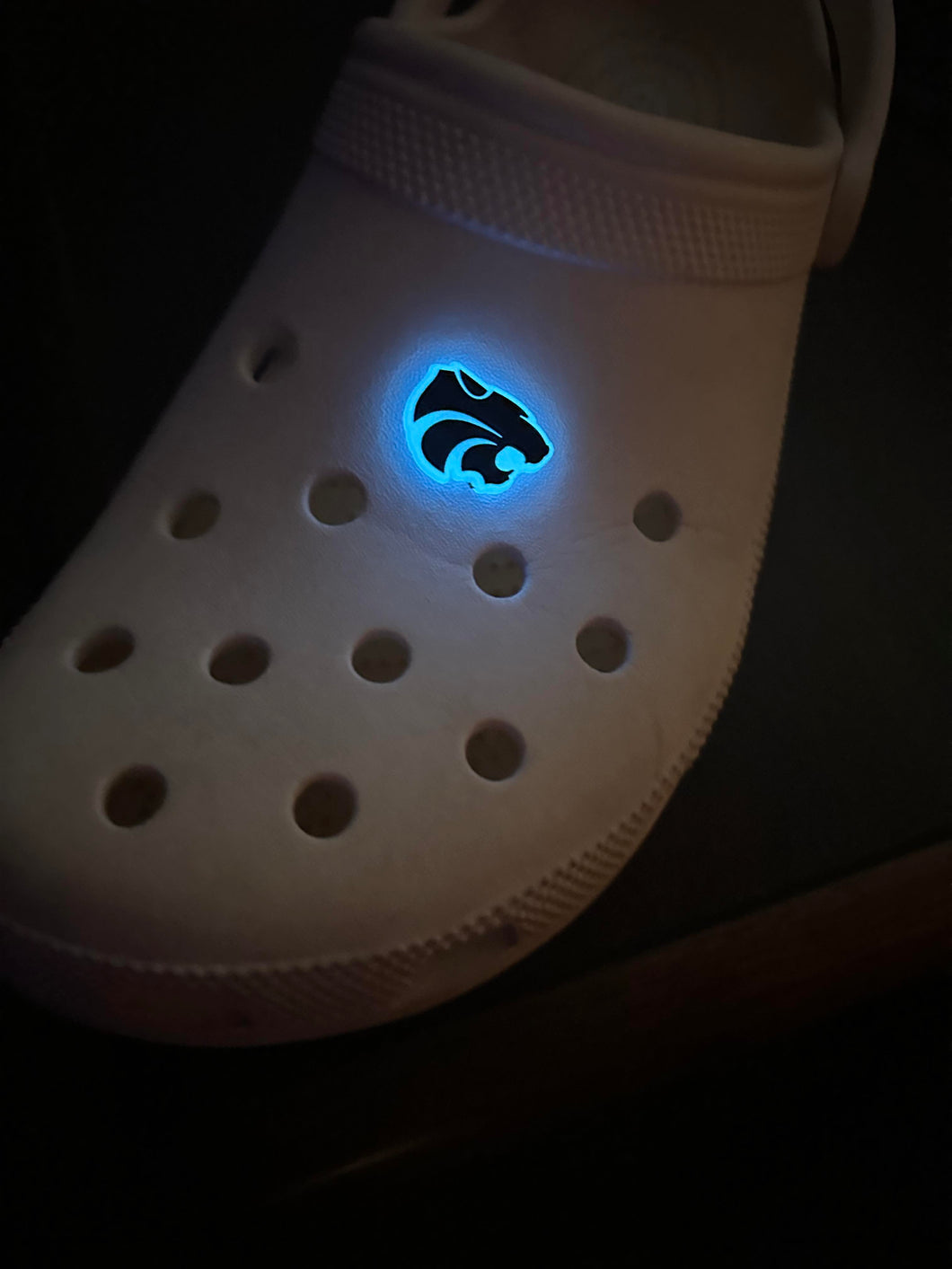 Glow in the Dark Croc Charms